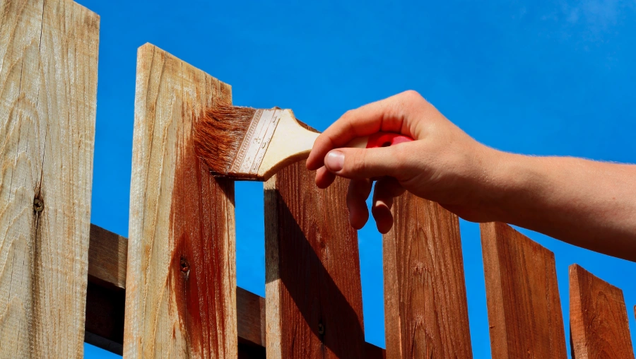 Fence Staining & Painting